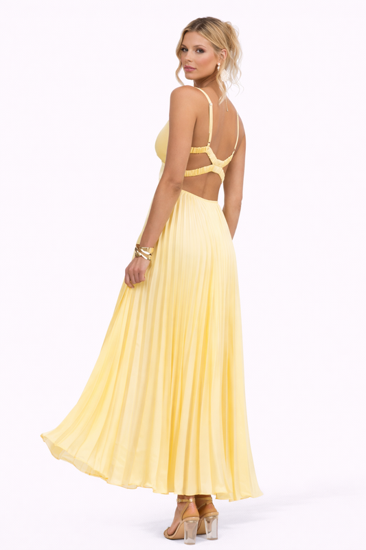 Women’s V-Neck Pleated Maxi Dress