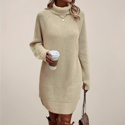 Women’s Turtleneck Sweater Dress Long Sleeve