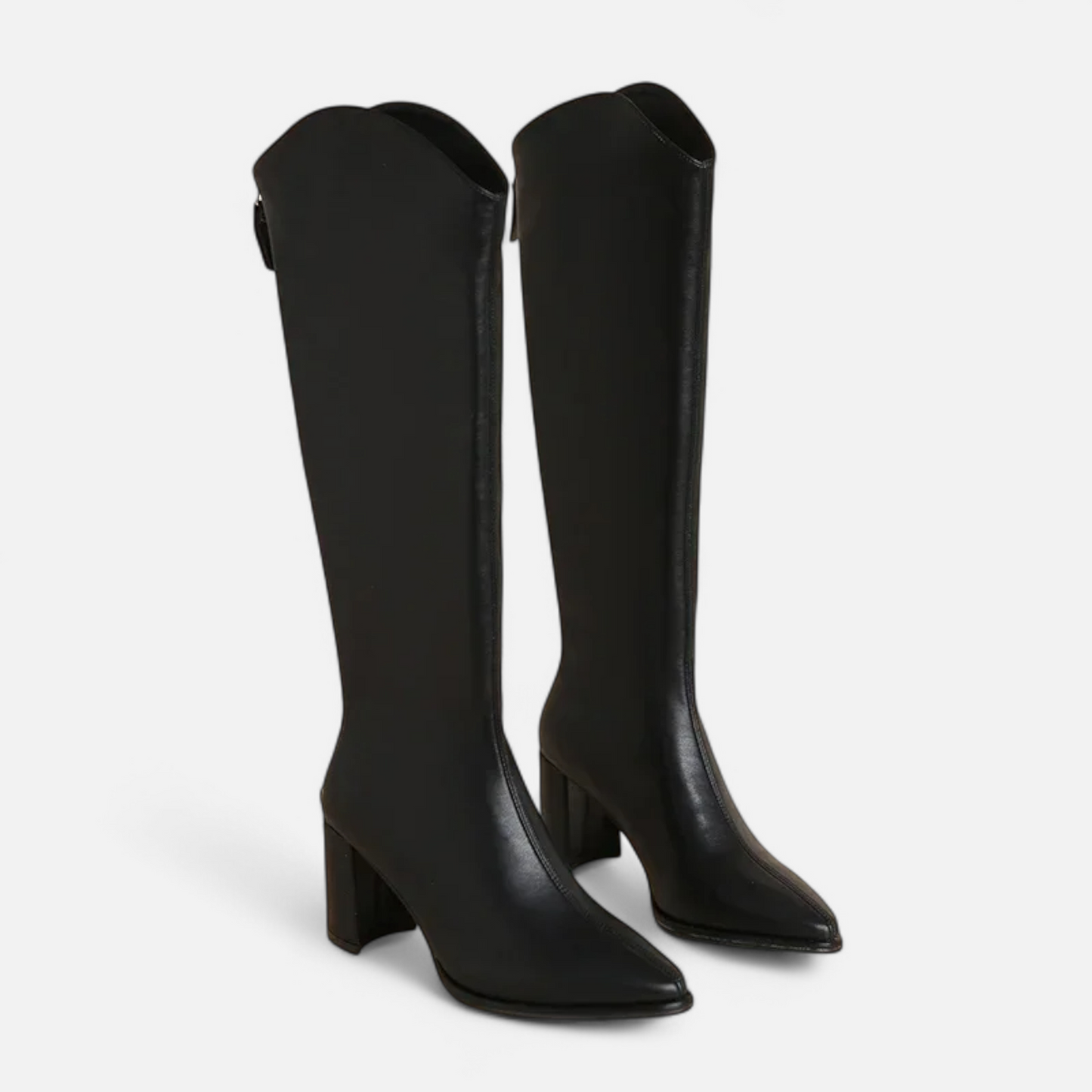Sylvia | Women’s Knee-High Zip Heeled Boots