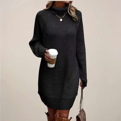 Women’s Turtleneck Sweater Dress Long Sleeve