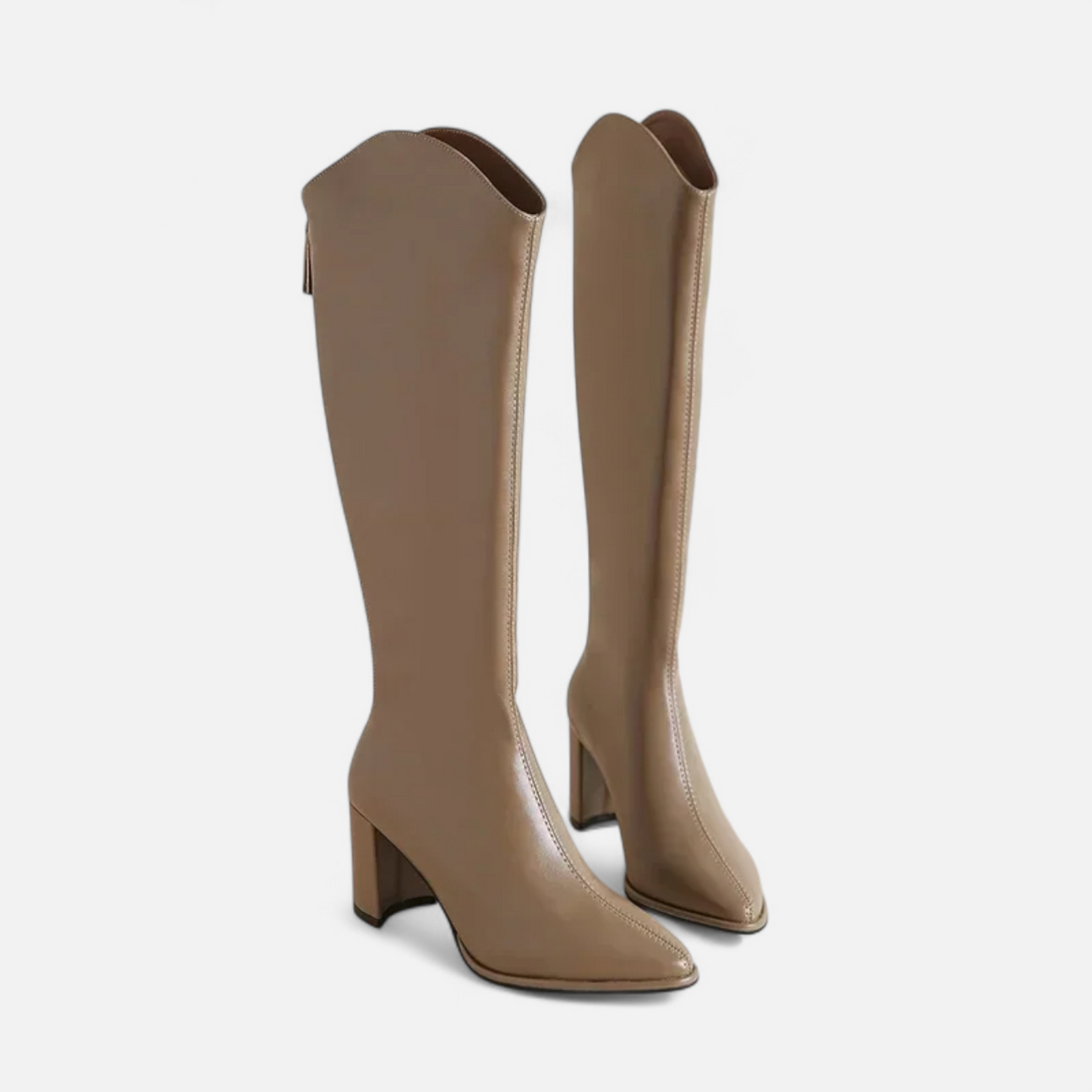 Sylvia | Women’s Knee-High Zip Heeled Boots