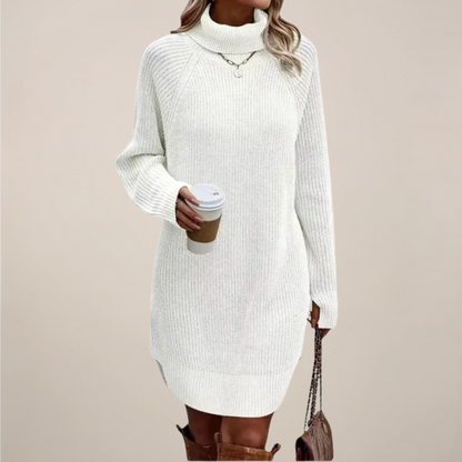 Women’s Turtleneck Sweater Dress Long Sleeve