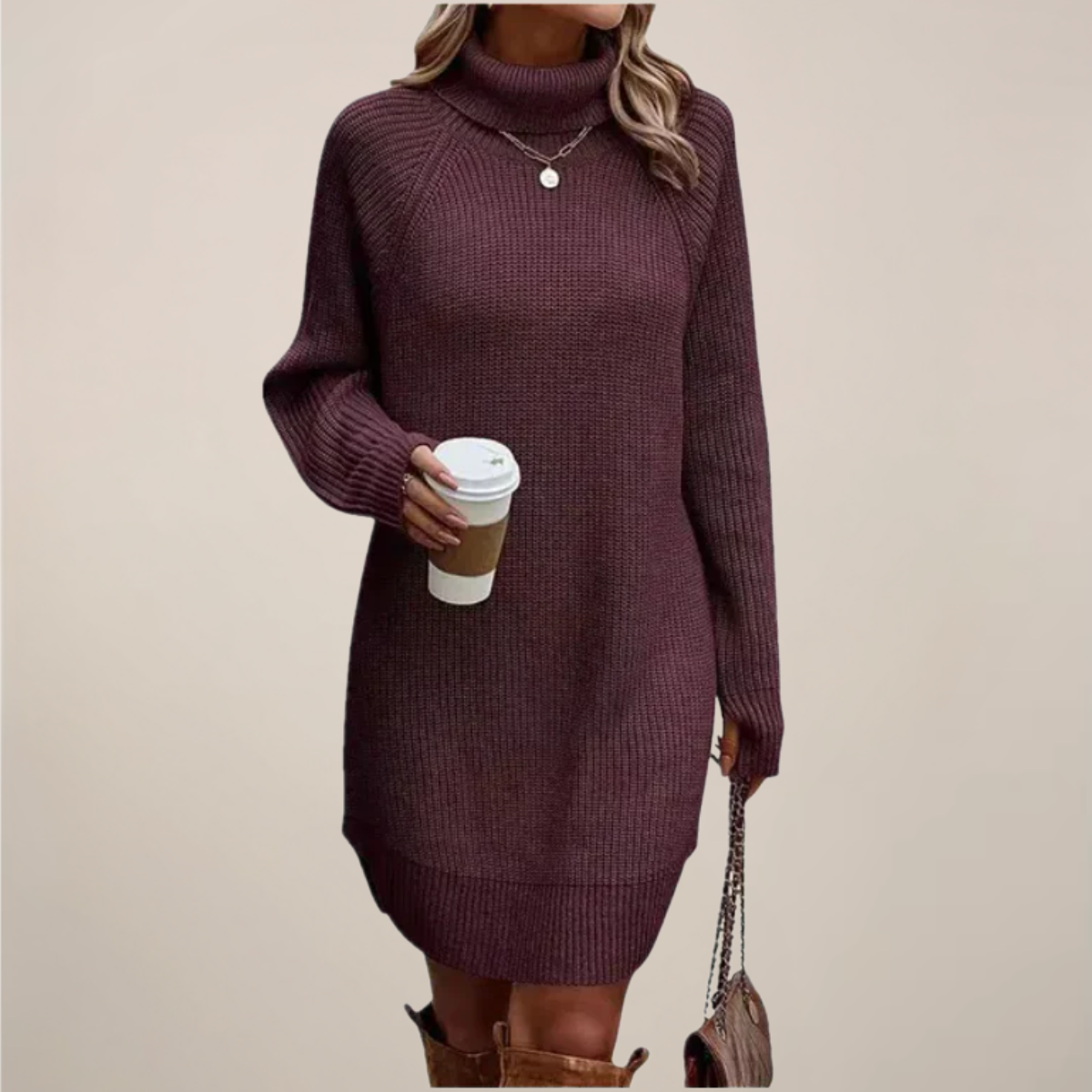 Women’s Turtleneck Sweater Dress Long Sleeve