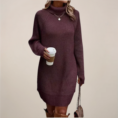 Women’s Turtleneck Sweater Dress Long Sleeve